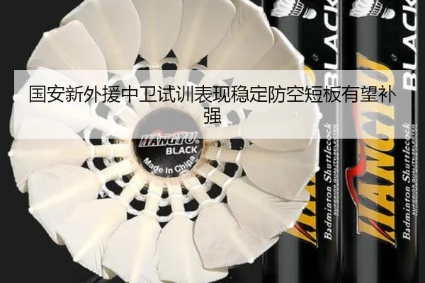 国安新外援中卫试训表现稳定防空短板有望补强